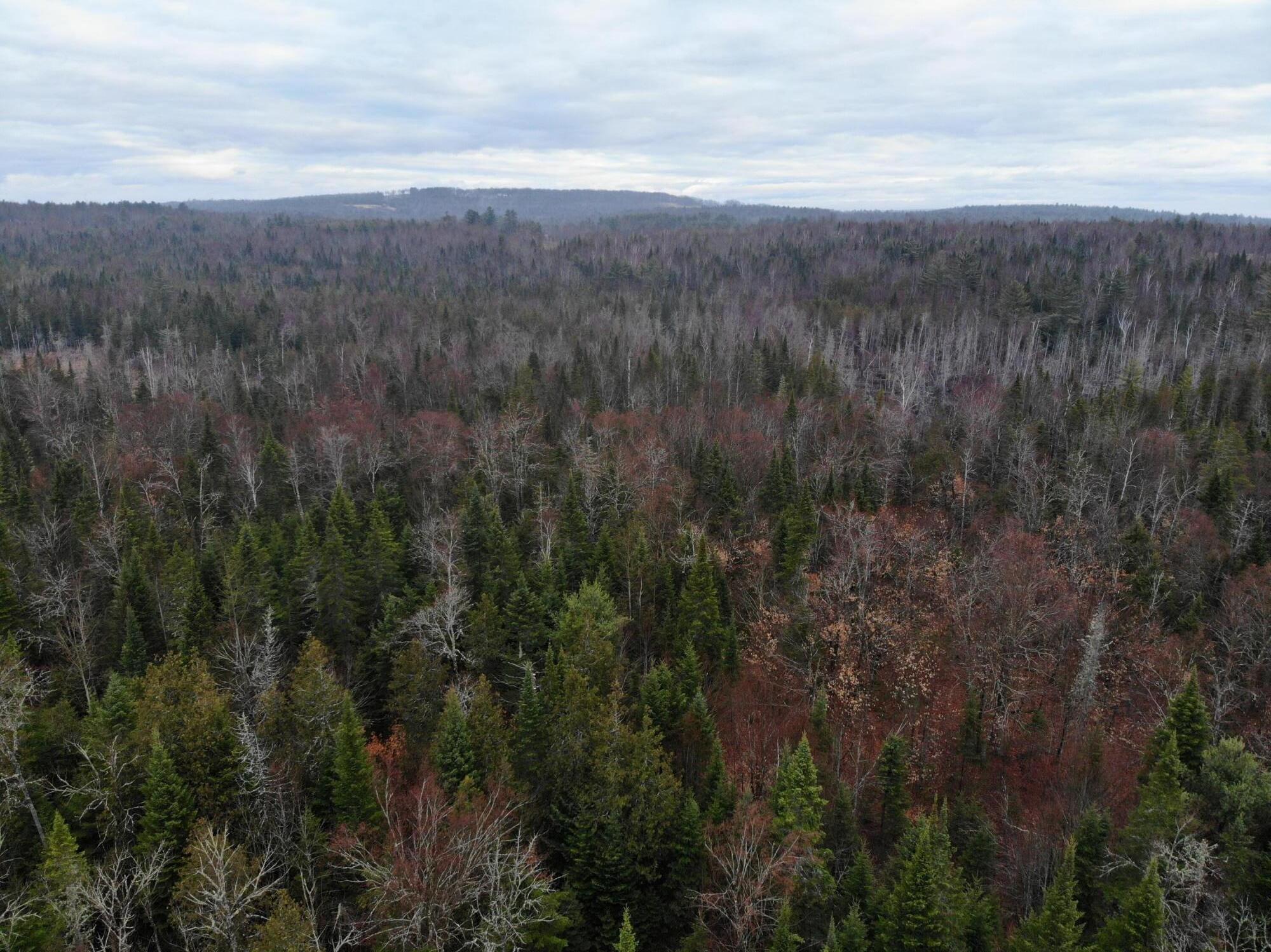 Map5lot1 Silvers Mills Road Property Photo 18