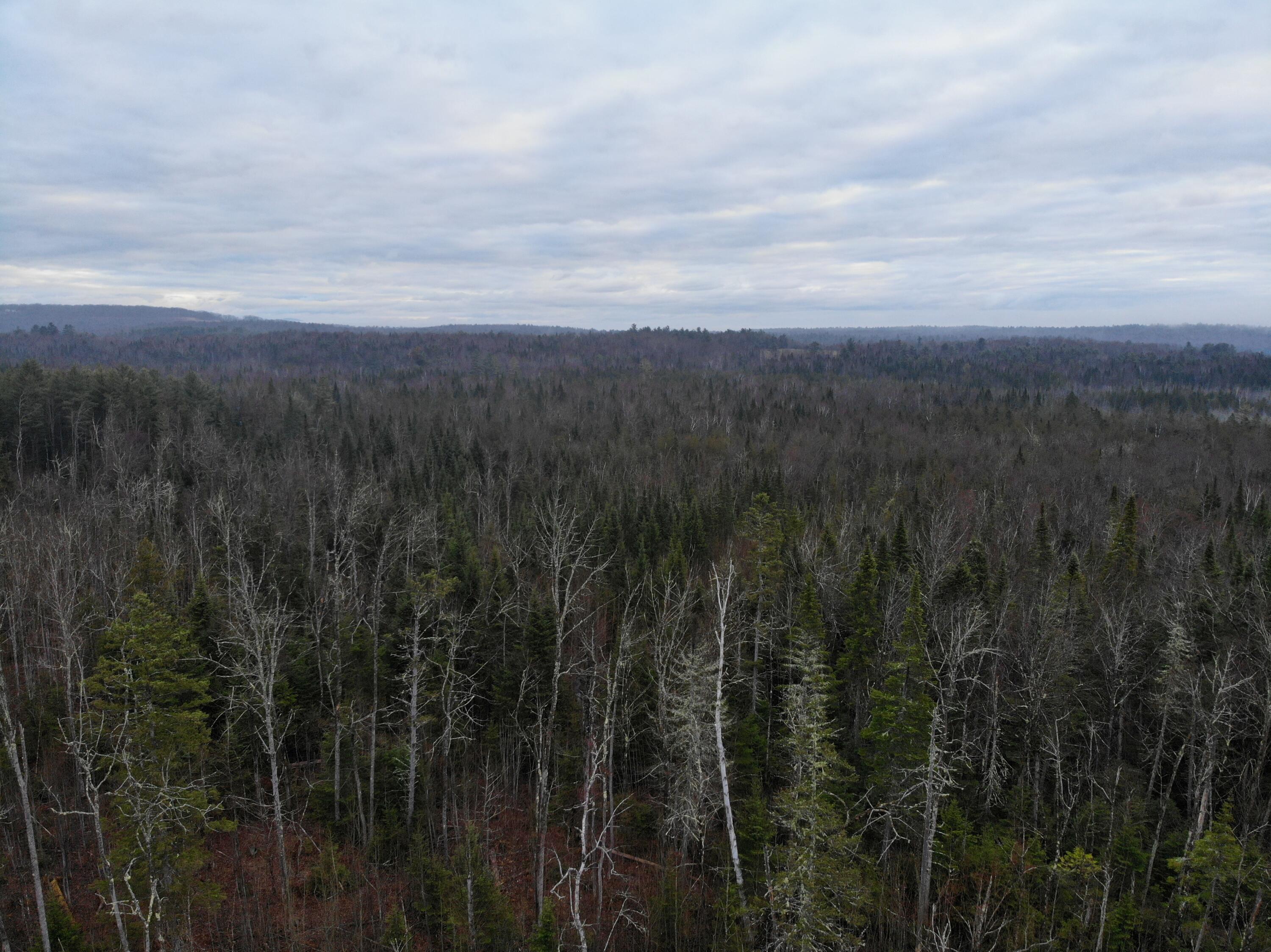 Map5lot1 Silvers Mills Road Property Photo 20
