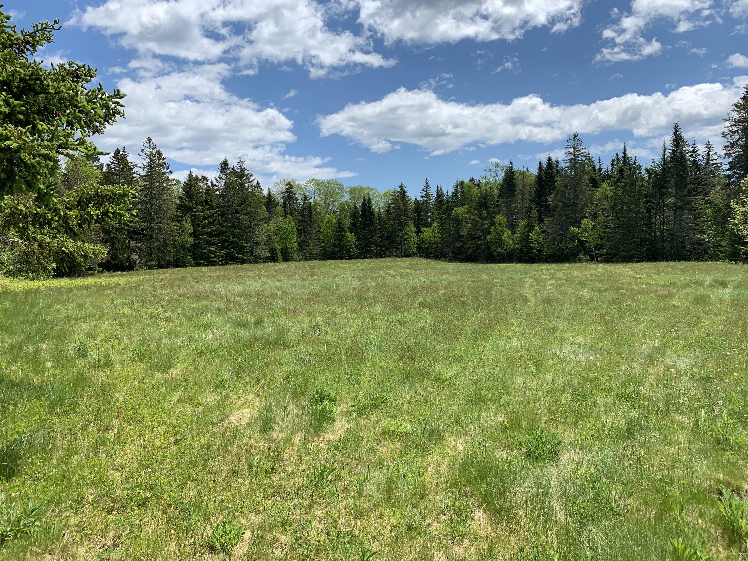 1 Daggett Road Property Photo 68