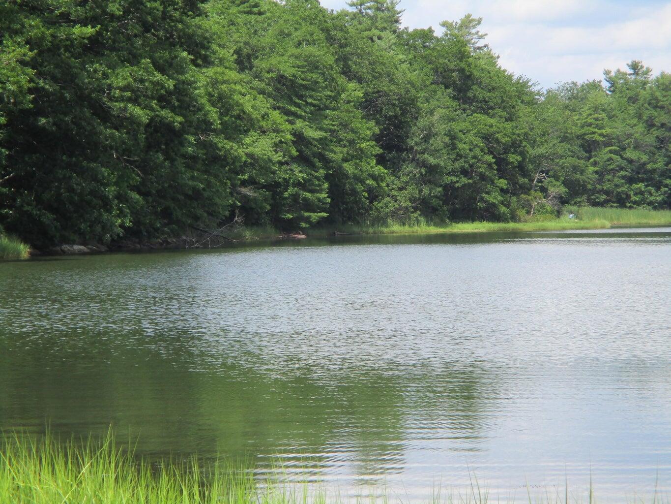 Lot #10 Harding Road Road Property Photo 2