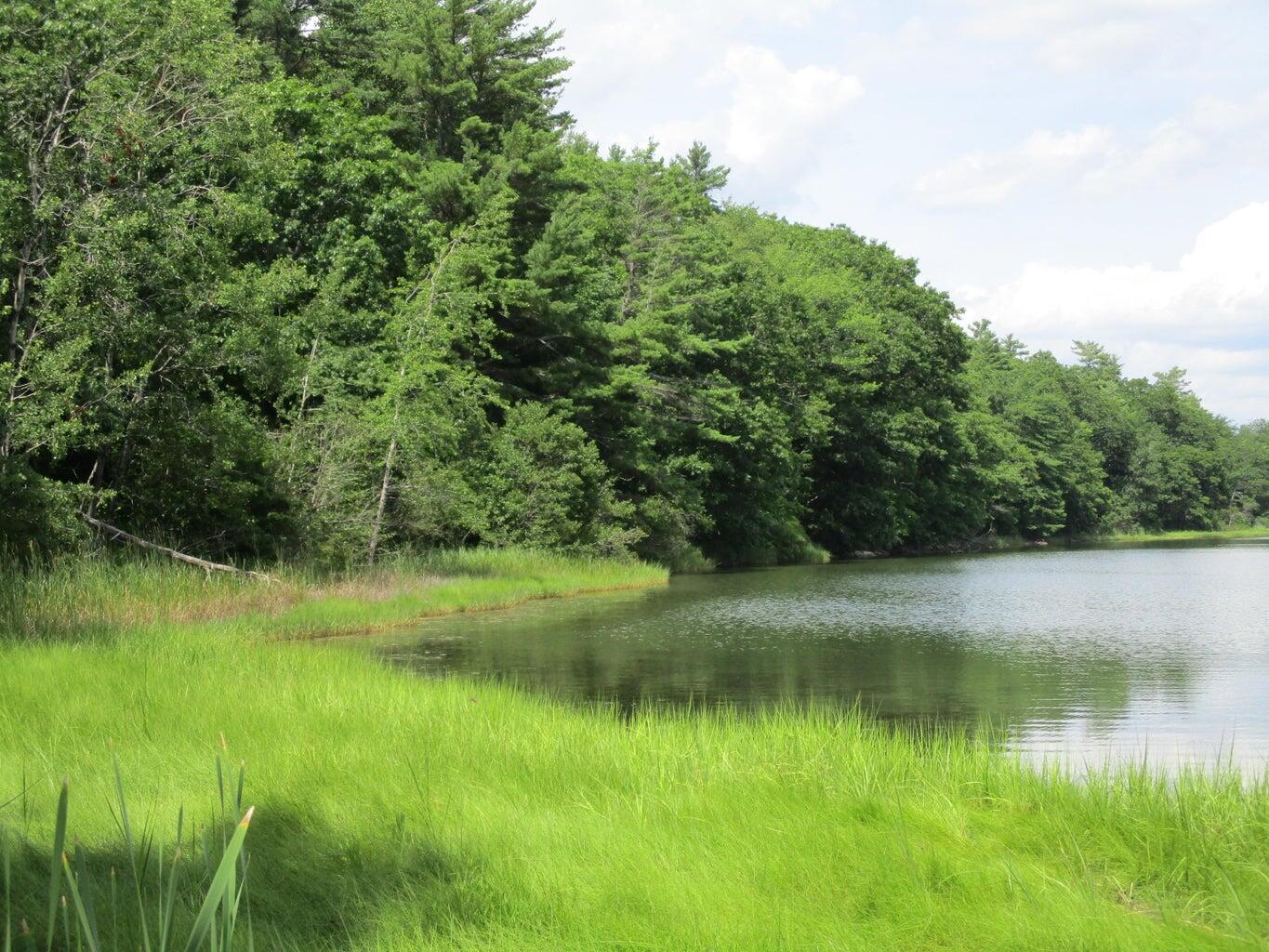 Lot #10 Harding Road Road Property Photo 3