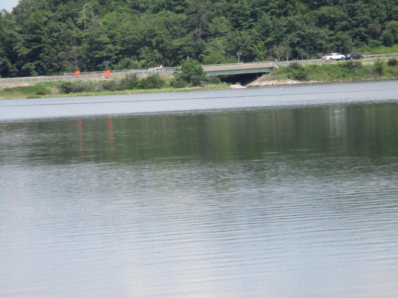 Lot #10 Harding Road Road Property Photo 4