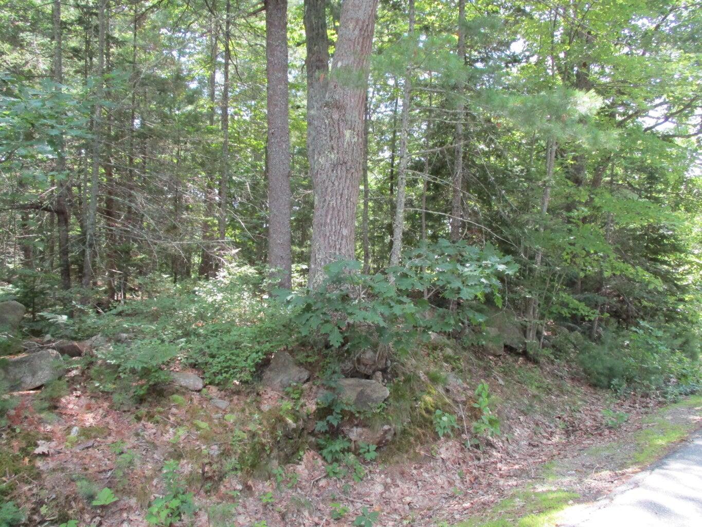 Lot #10 Harding Road Road Property Photo 5