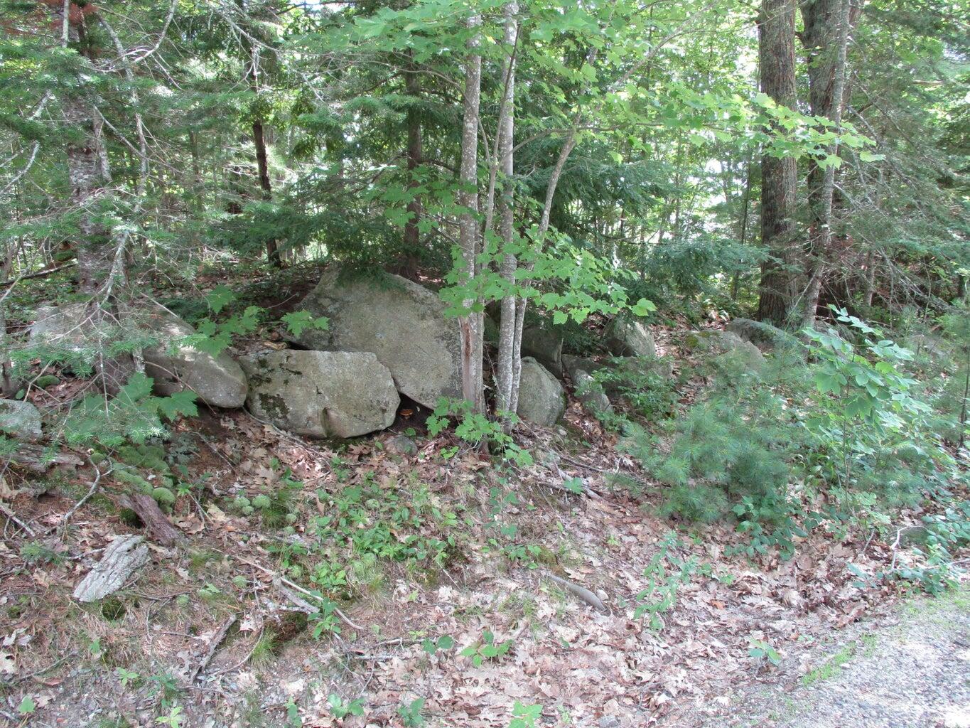 Lot #10 Harding Road Road Property Photo 6