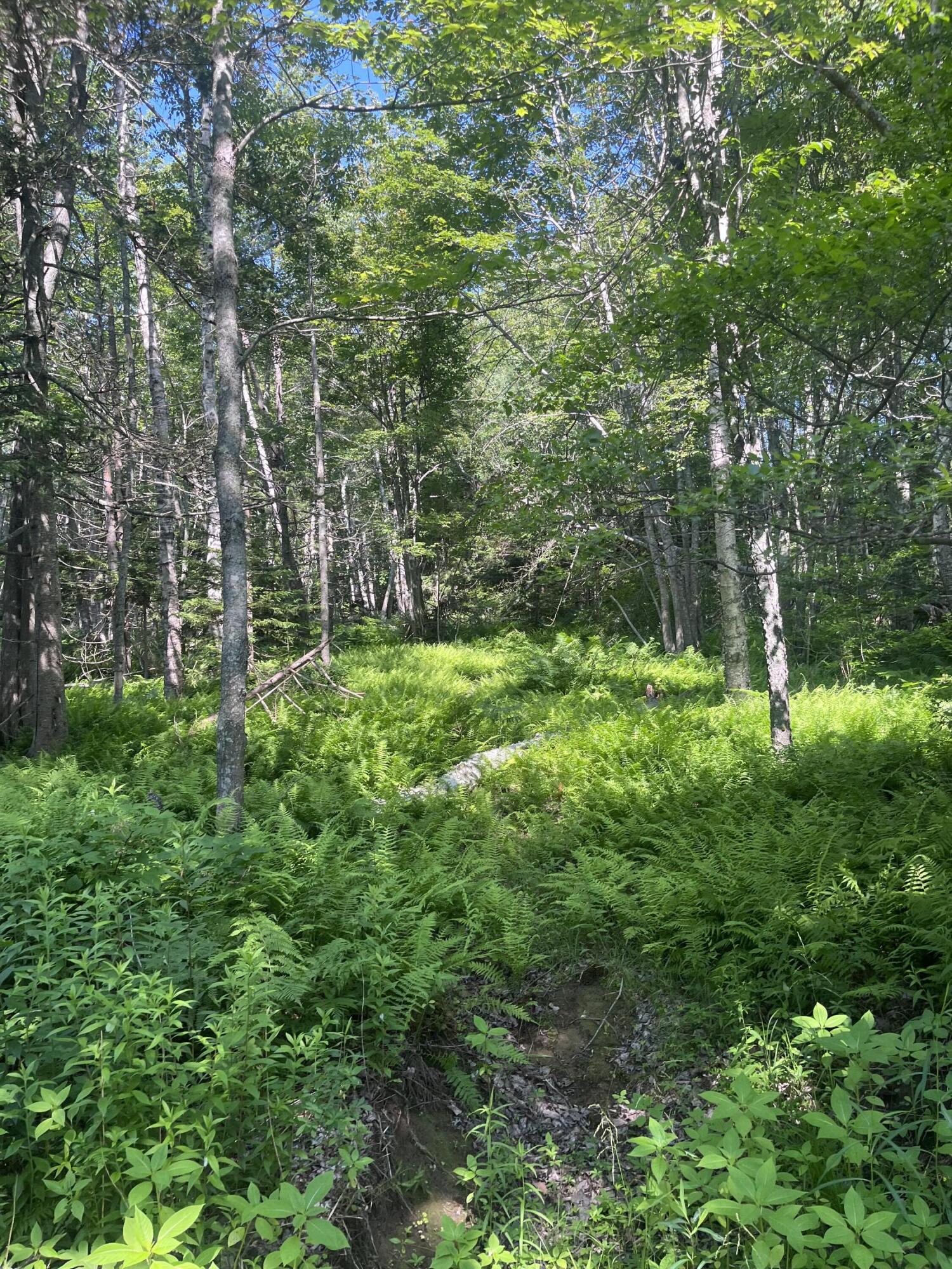 Tbd Atlantic Quarry Road Property Photo 1