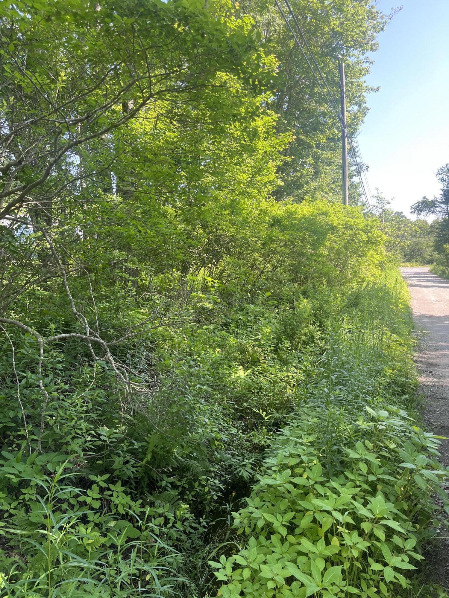 Tbd Atlantic Quarry Road Property Photo 2