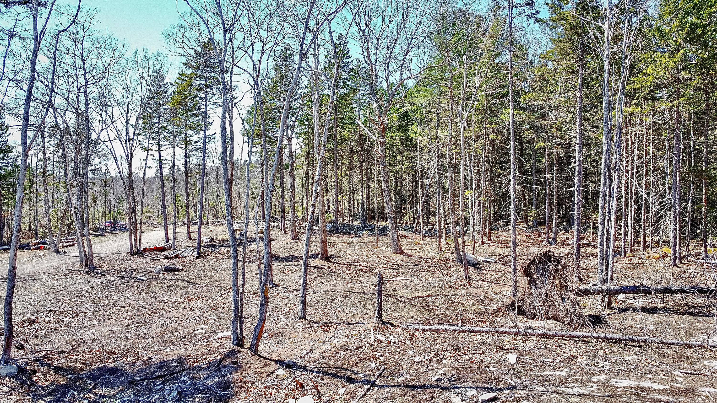 00 Switzer Spring Road Property Photo 11
