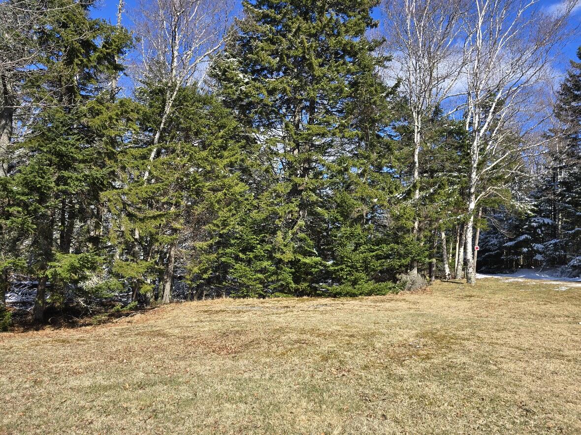 70 Owens Way Property Photo 10