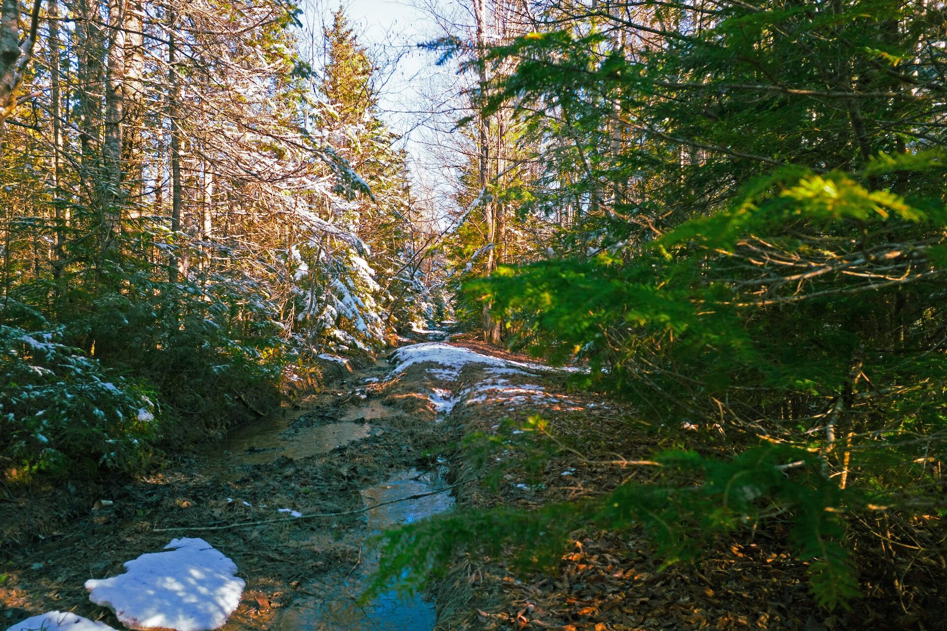Lot #26 Black Road North Property Photo 5