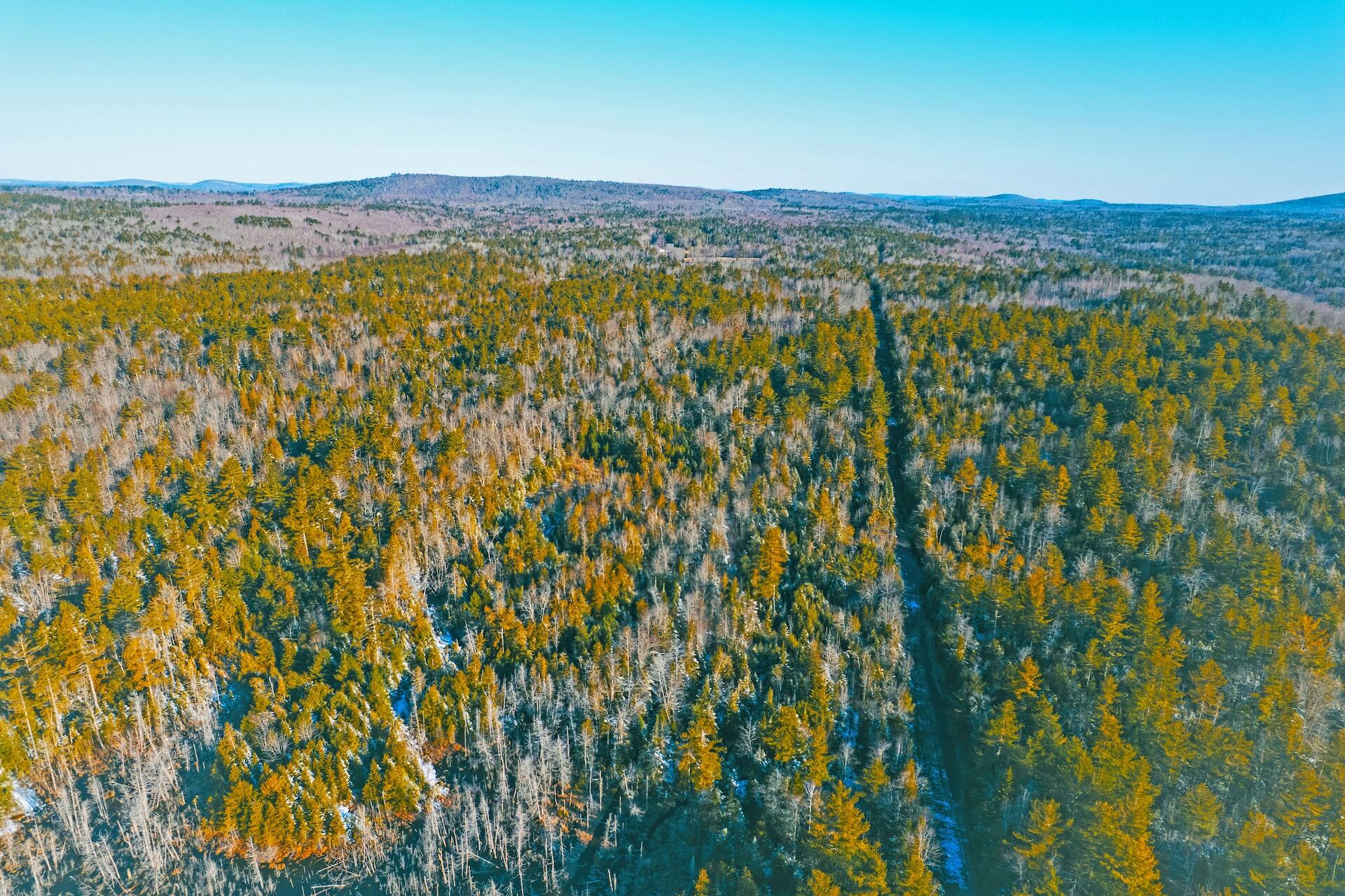 Lot #26 Black Road North Property Photo 6