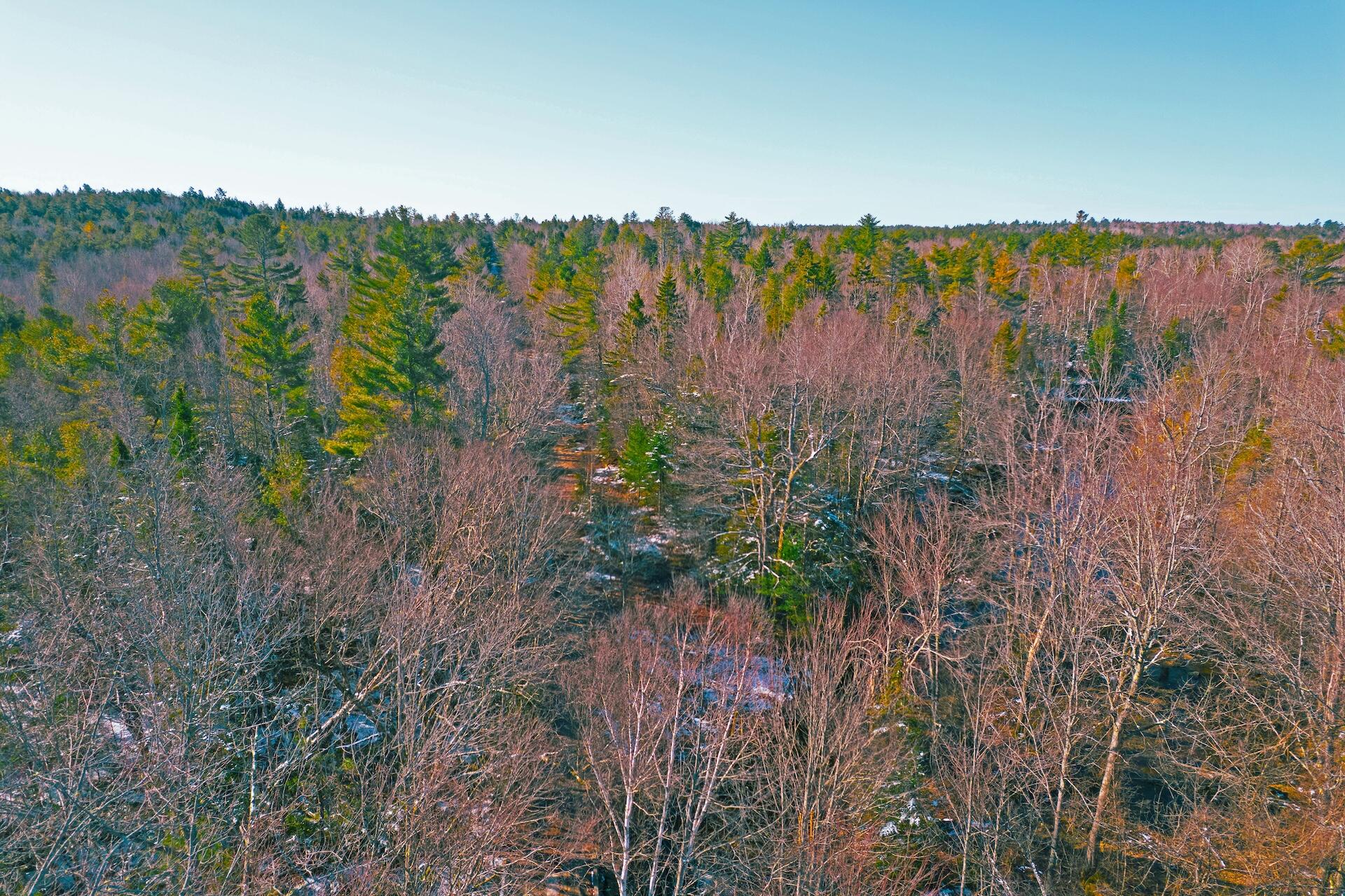 Lot #26 Black Road North Property Photo 7