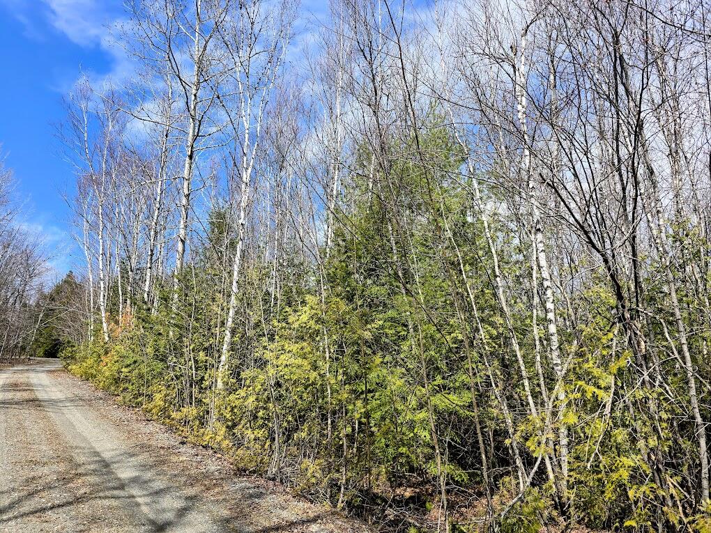 Lot# 6 Winding Road Property Photo