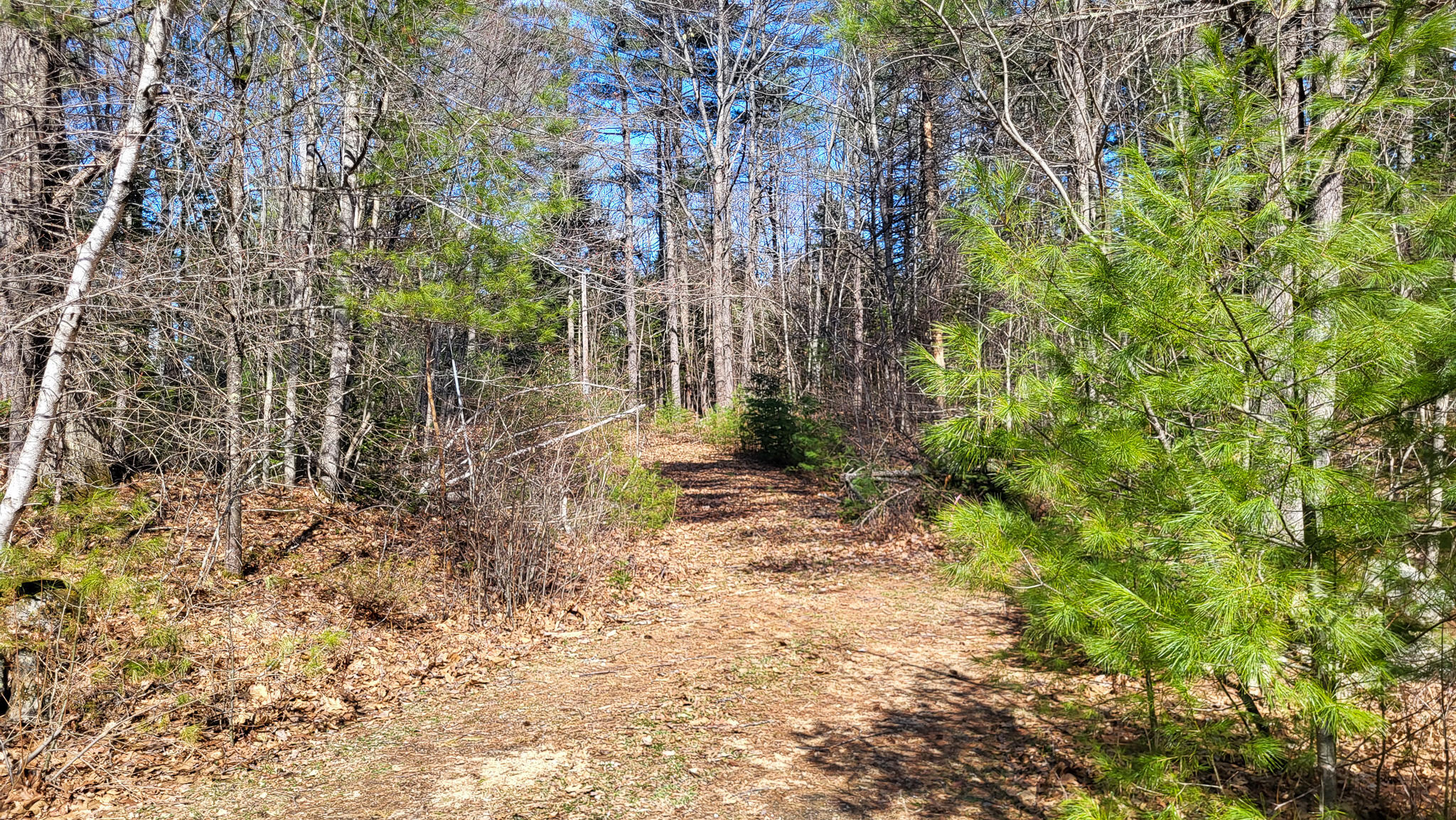 Lot #1 Stone Lane Property Photo 4
