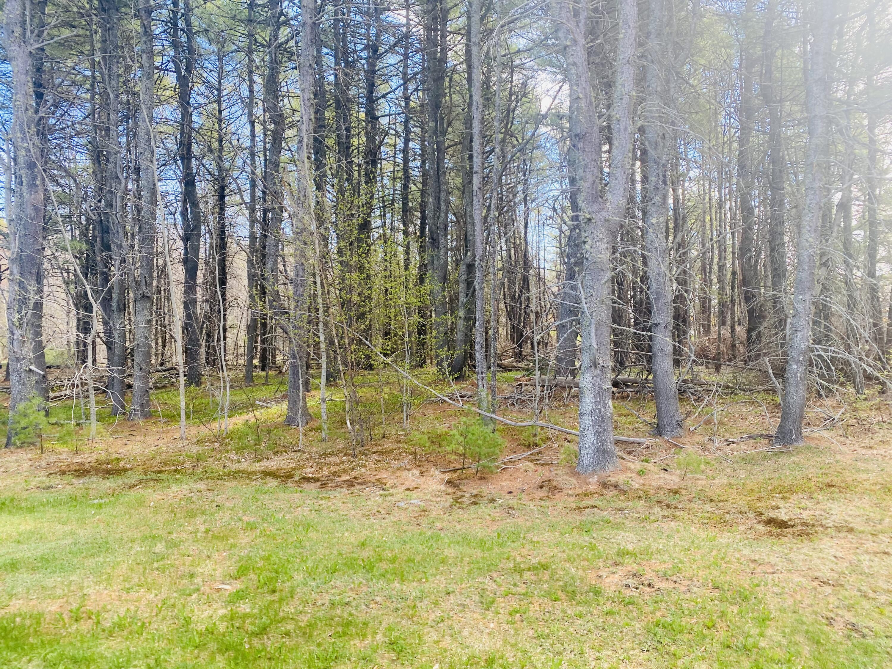 80 (#7) Hornbeam Way Property Photo 4
