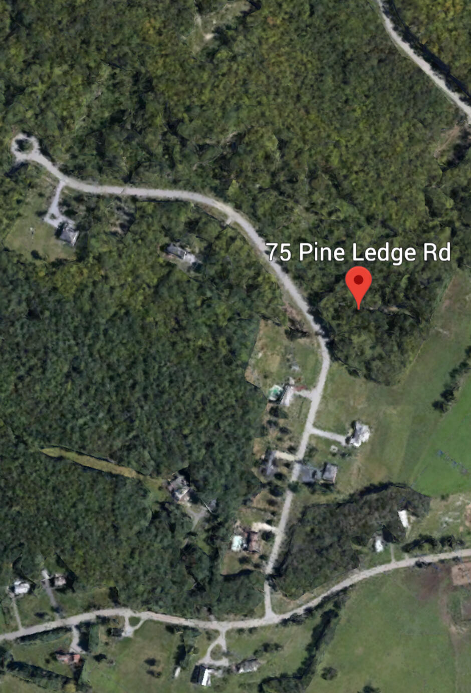 75 (#6) Pine Ledge Road Property Photo 3