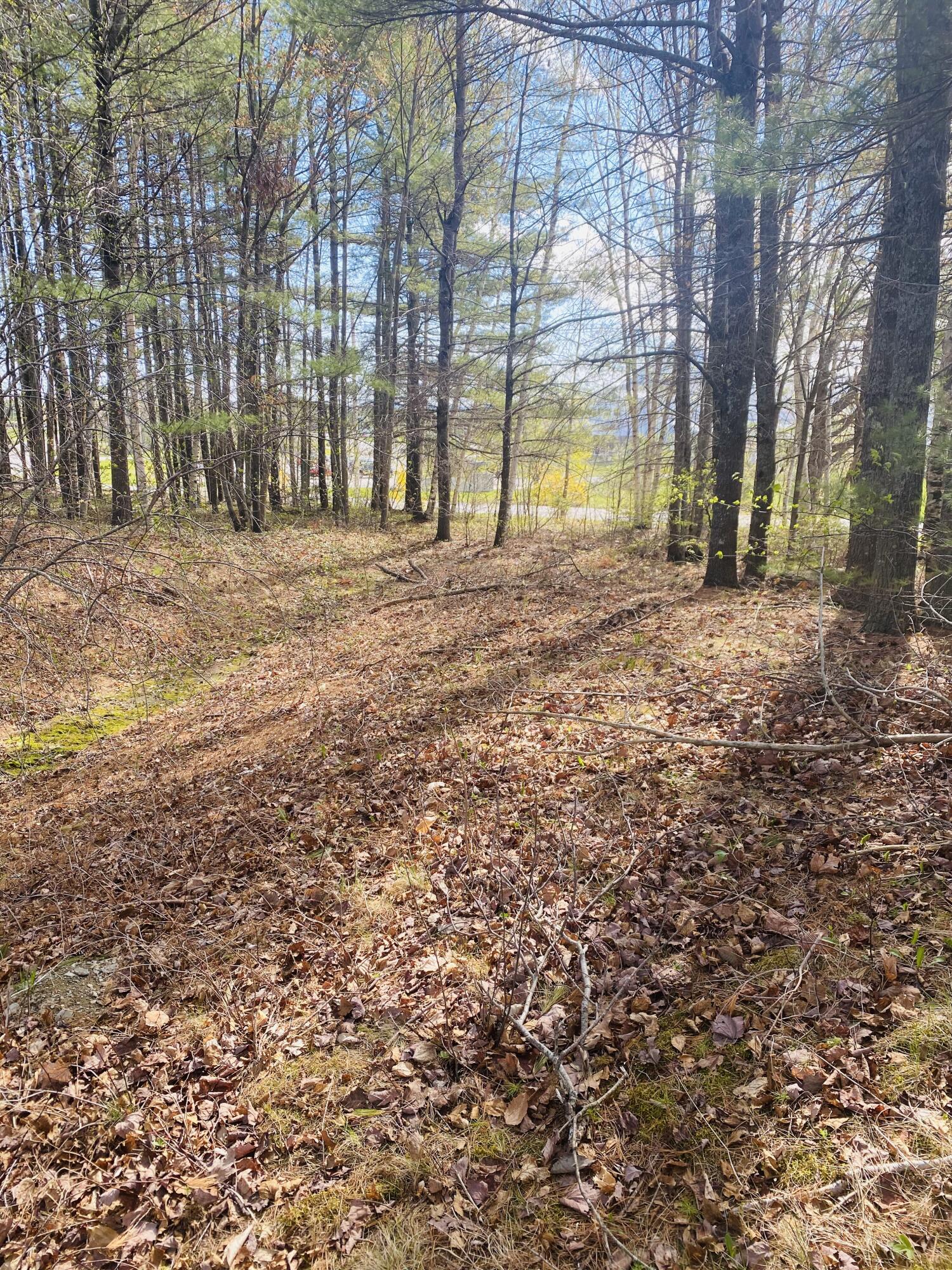 145 (#12) Pine Ledge Road Property Photo 5