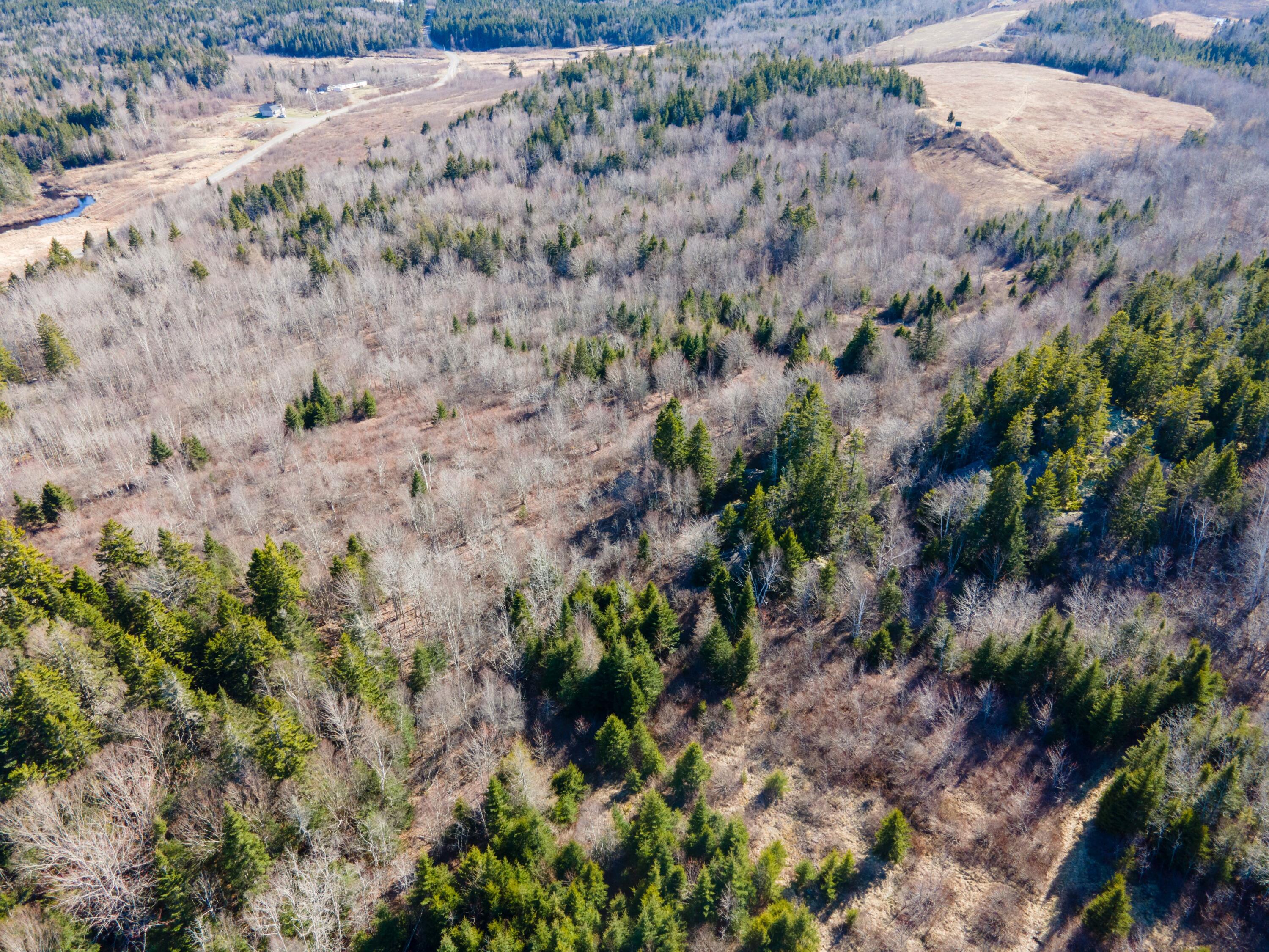 Lot 8 Number 9 Road Property Photo 3