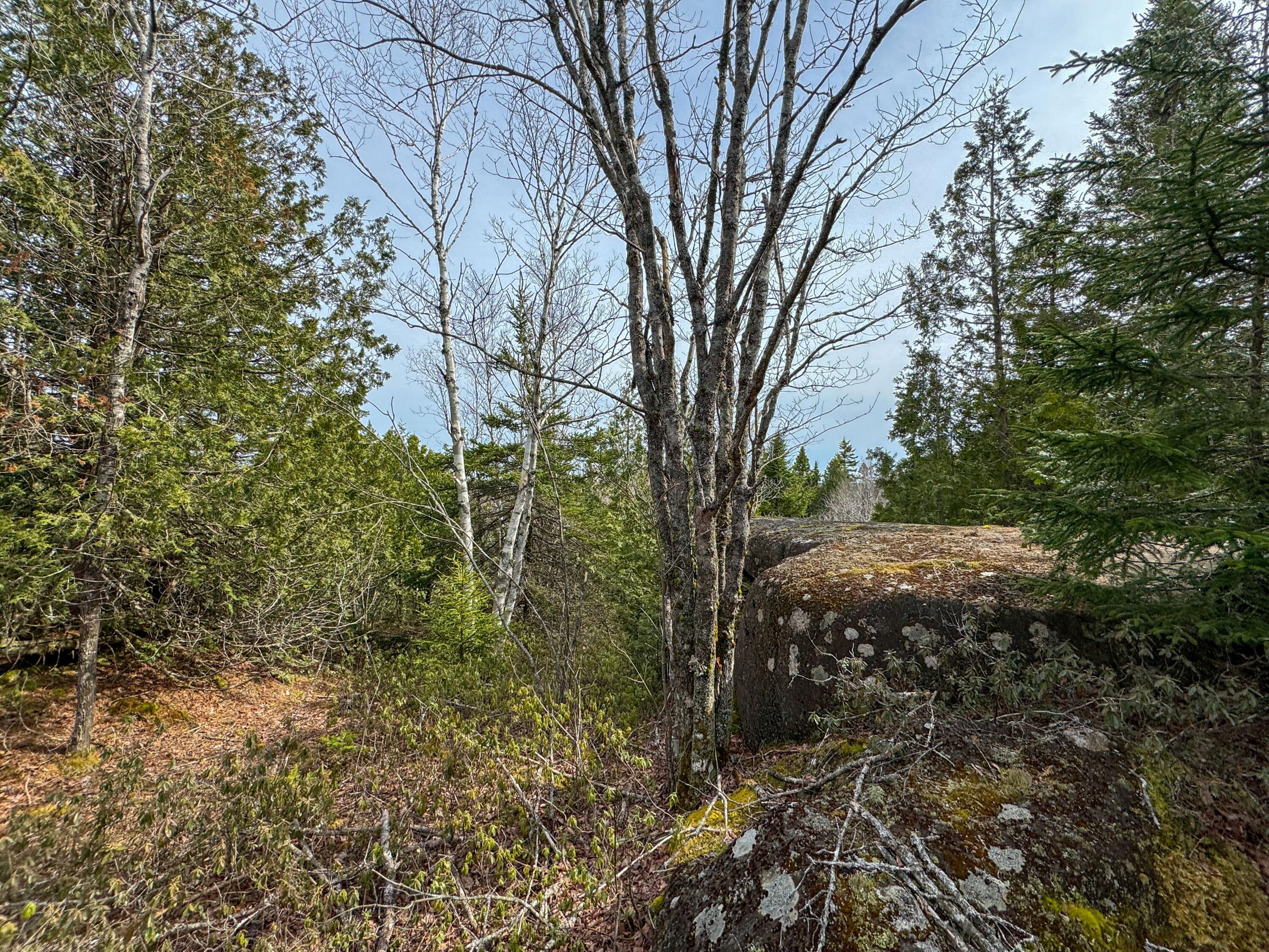 Lot 8 Number 9 Road Property Photo 5