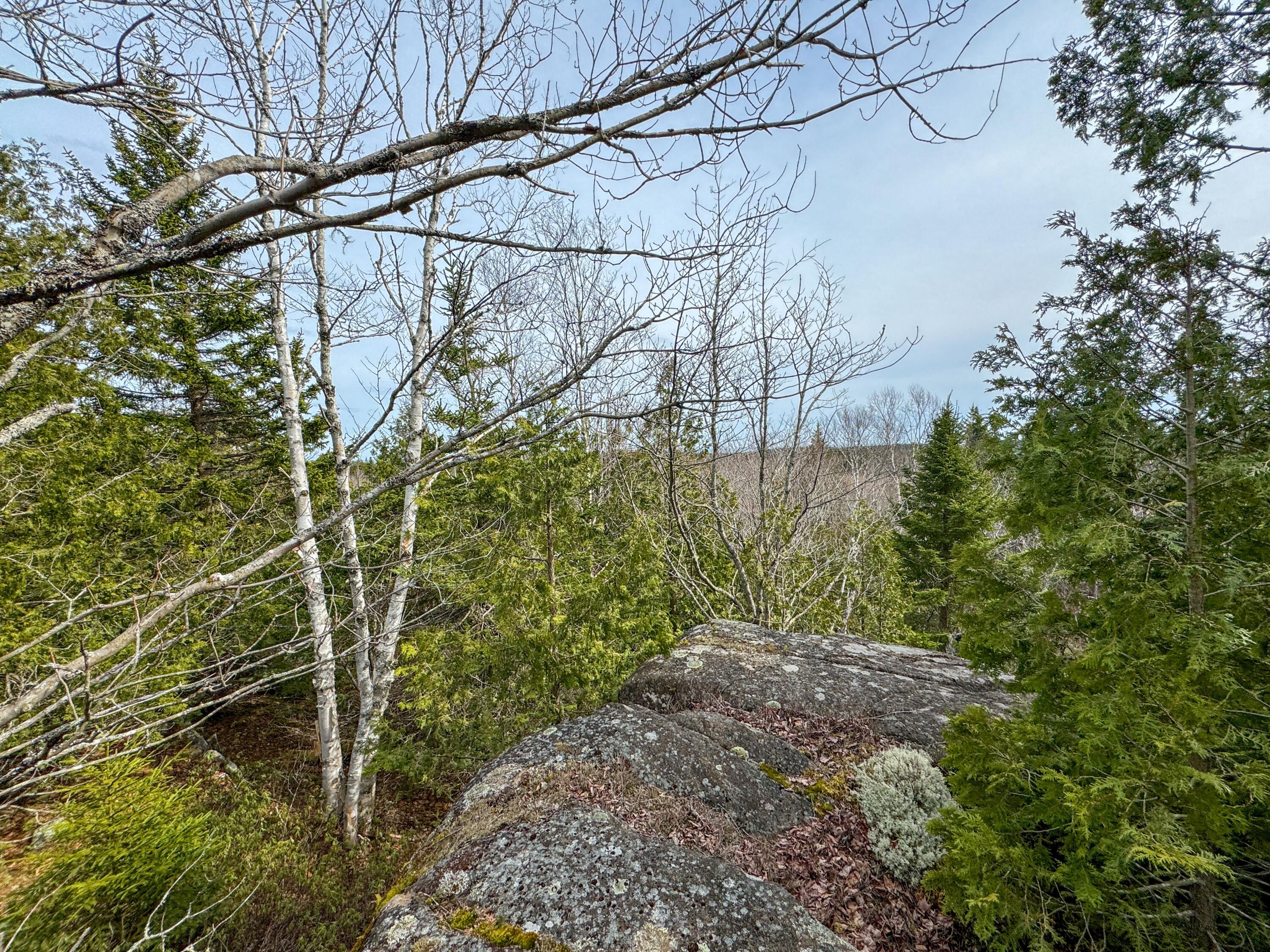 Lot 8 Number 9 Road Property Photo 6