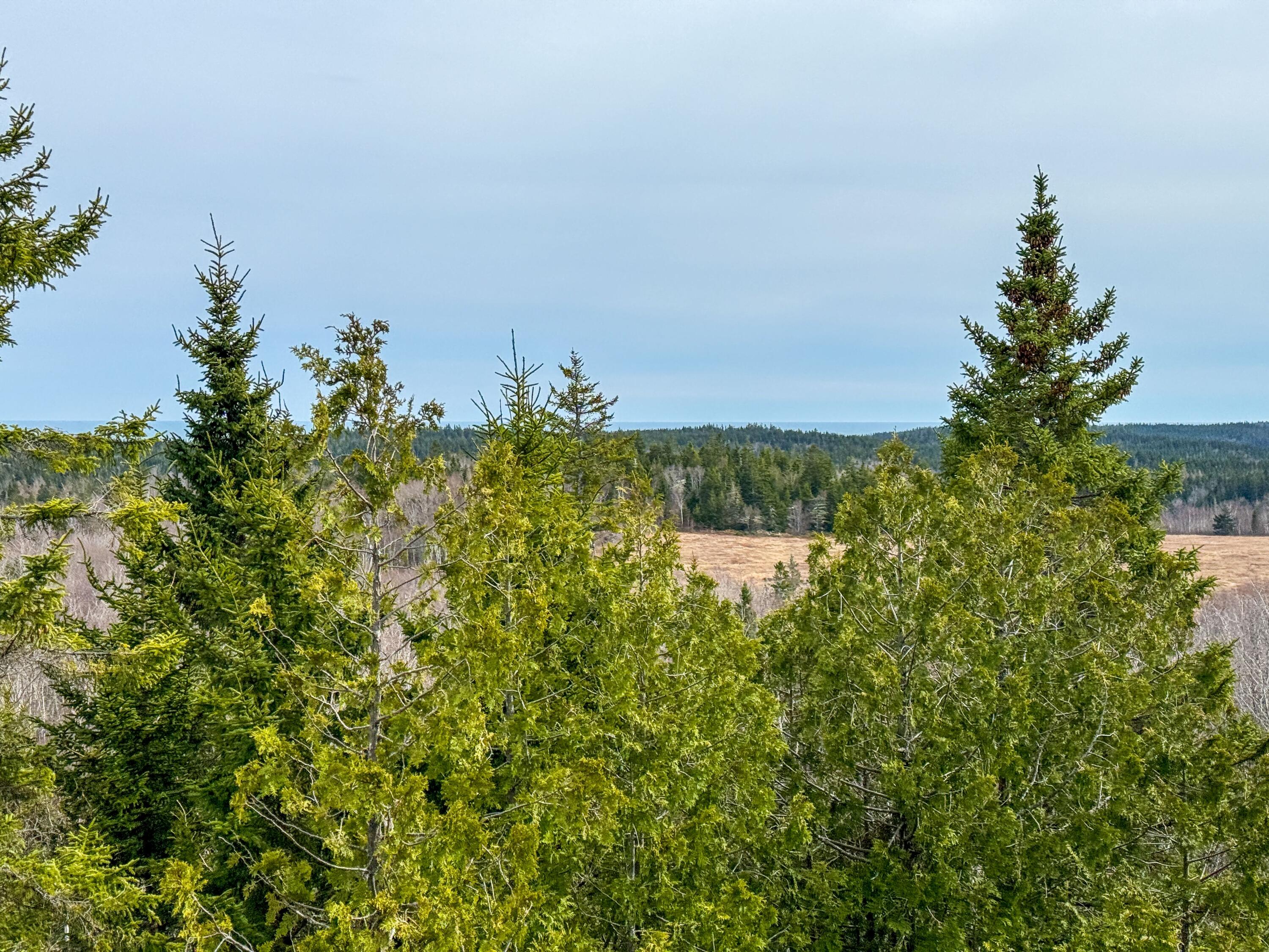 Lot 8 Number 9 Road Property Photo 10