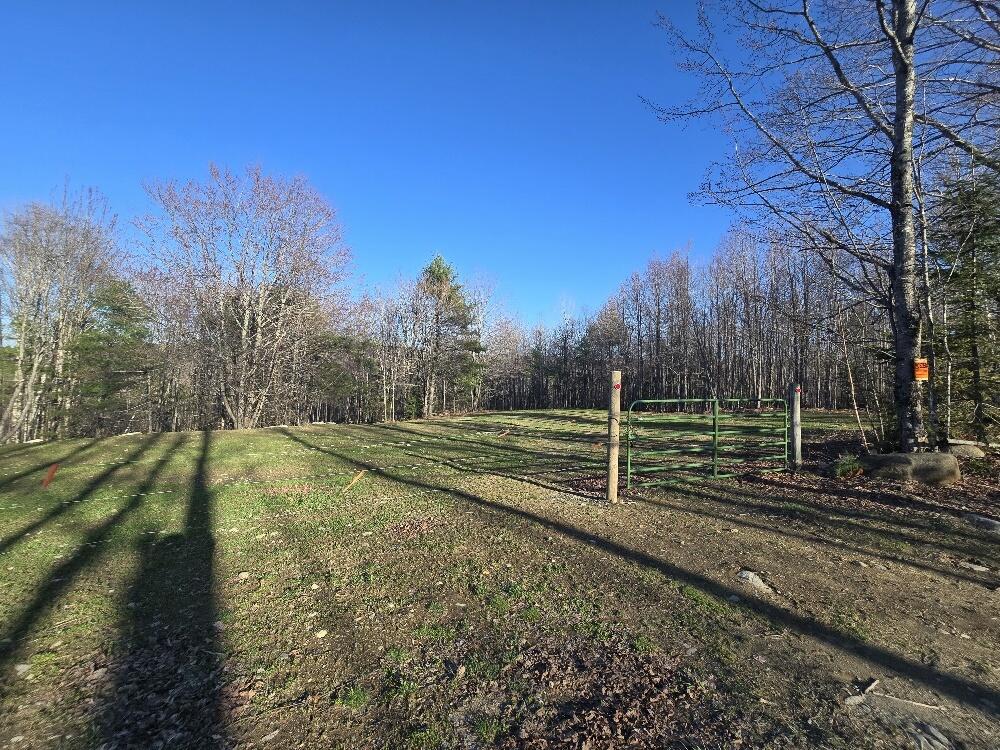 Lot 9 & 12 Smith Road Property Photo 1