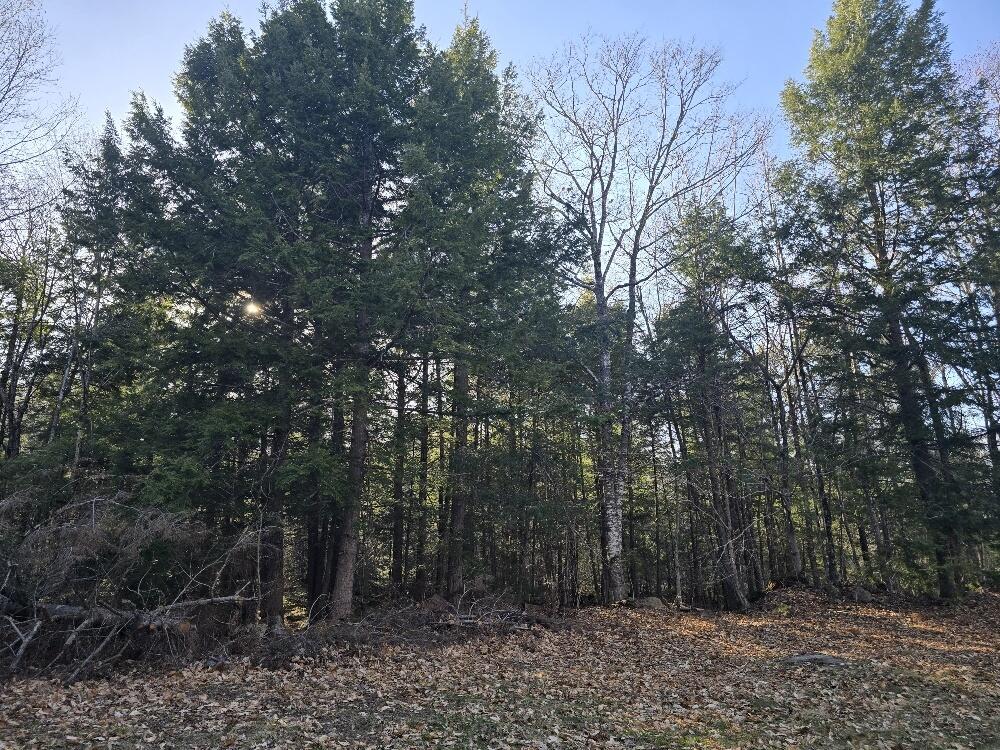 Lot 9 & 12 Smith Road Property Photo 5