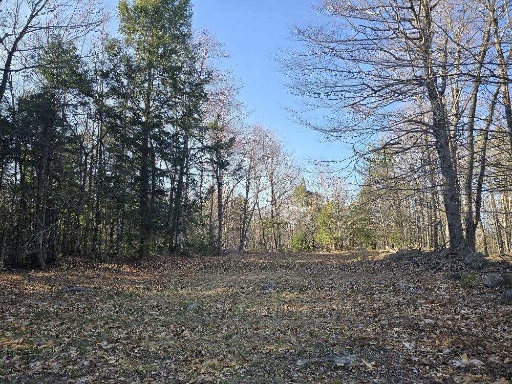 Lot 9 & 12 Smith Road Property Photo 6