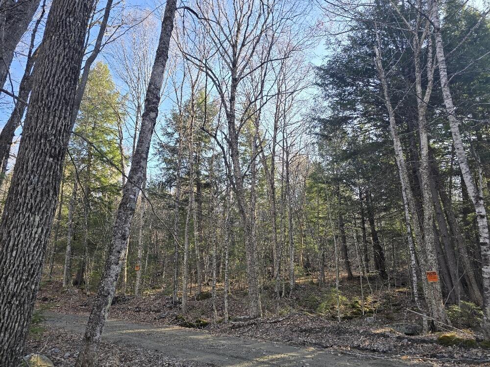 Lot 9 & 12 Smith Road Property Photo 8