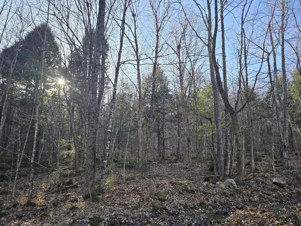 Lot 9 & 12 Smith Road Property Photo 9