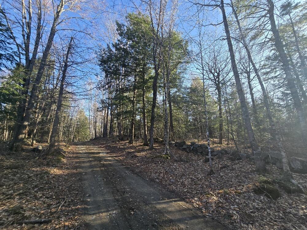 Lot 9 & 12 Smith Road Property Photo 10