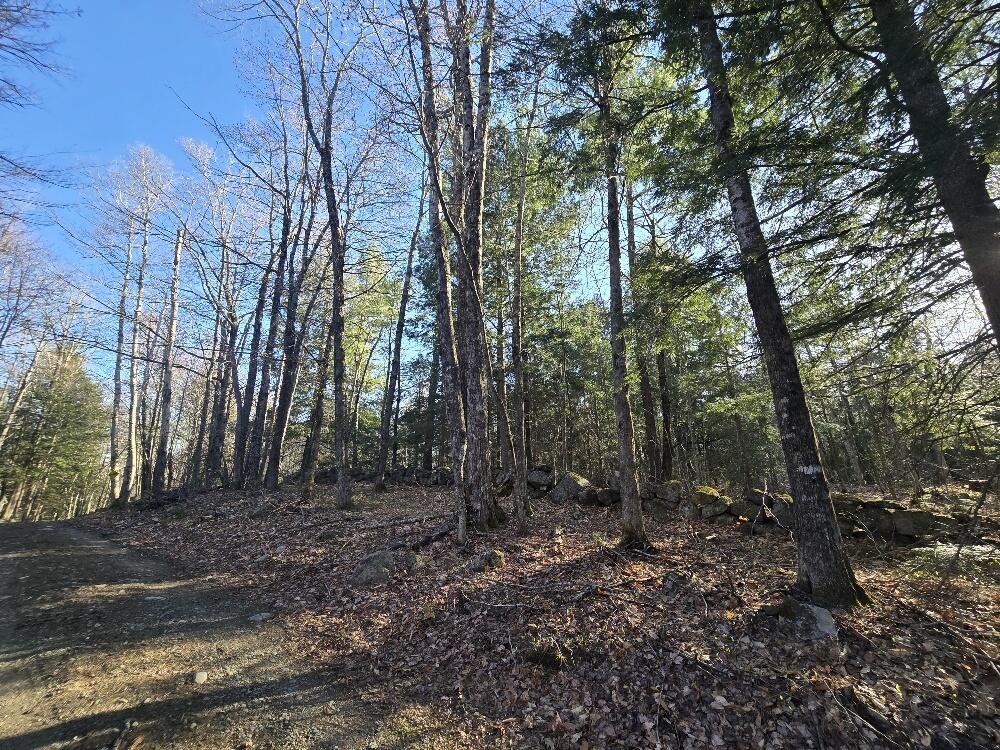 Lot 9 & 12 Smith Road Property Photo 11