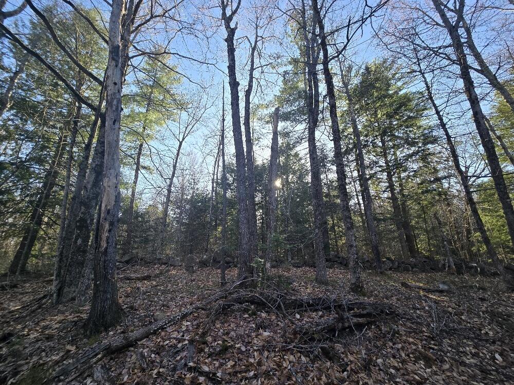 Lot 9 & 12 Smith Road Property Photo 13