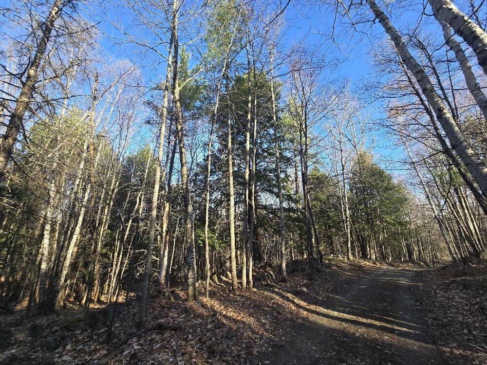 Lot 9 & 12 Smith Road Property Photo 14
