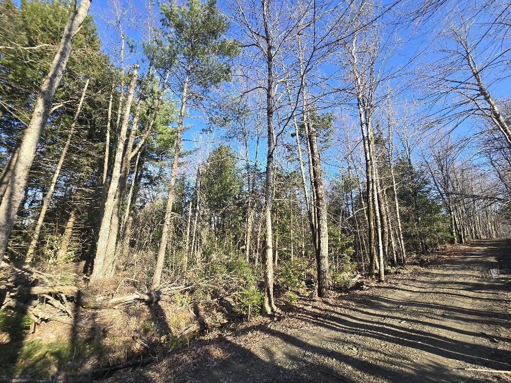 Lot 9 & 12 Smith Road Property Photo 16