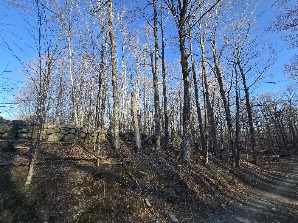 Lot 9 & 12 Smith Road Property Photo 19