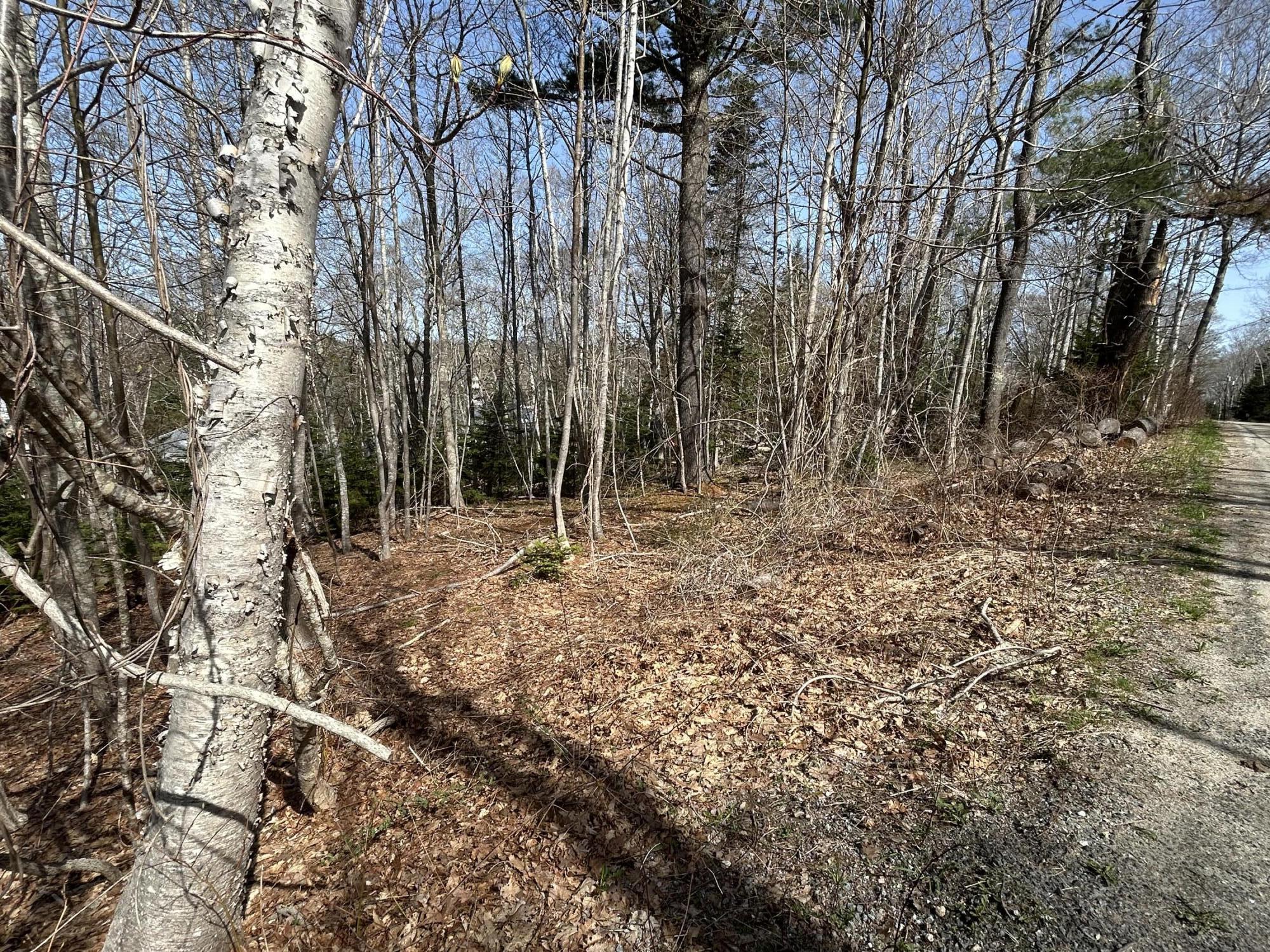 Lot 63 M14 John Gay Road Property Photo 2