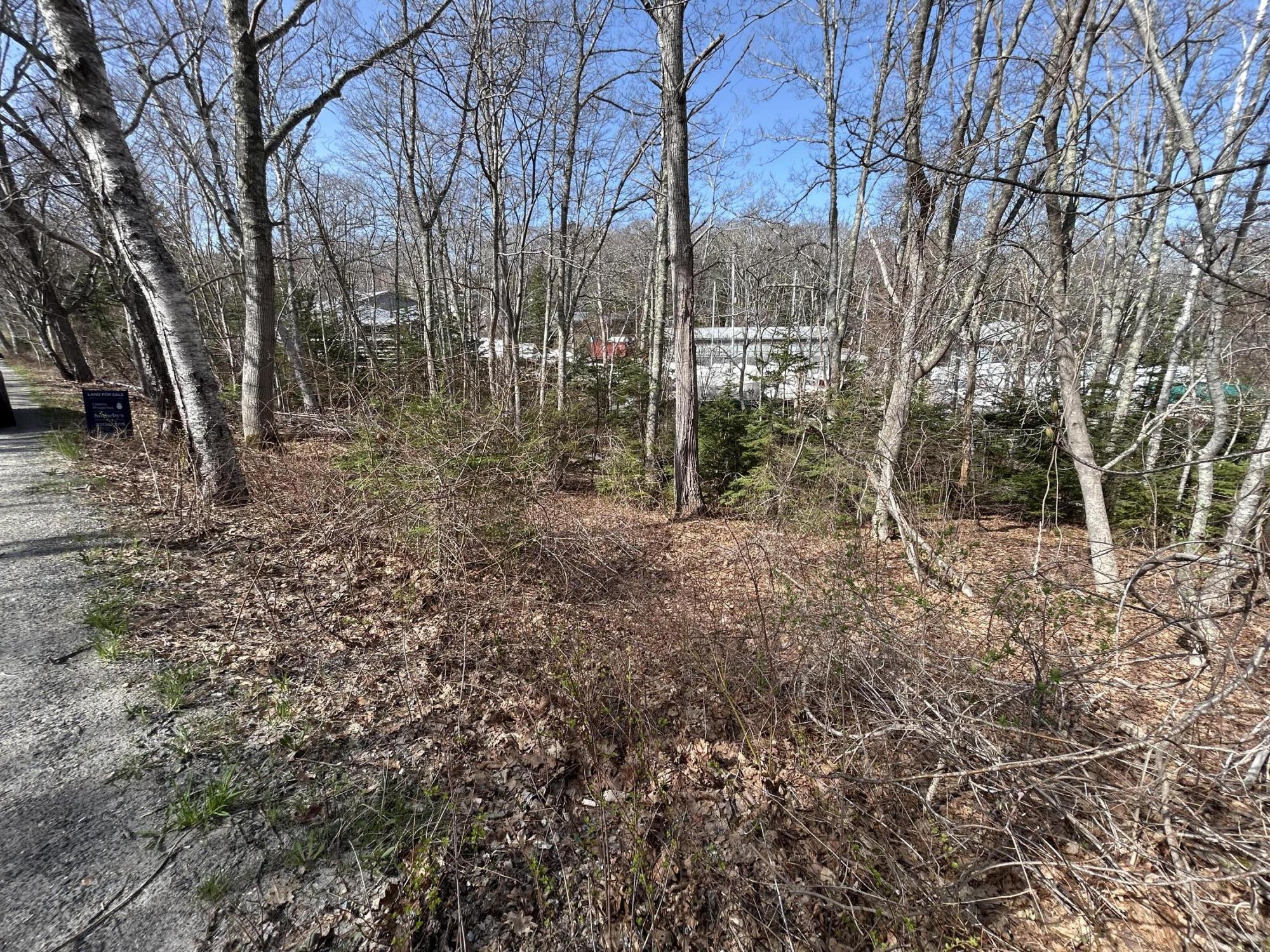 Lot 63 M14 John Gay Road Property Photo 3
