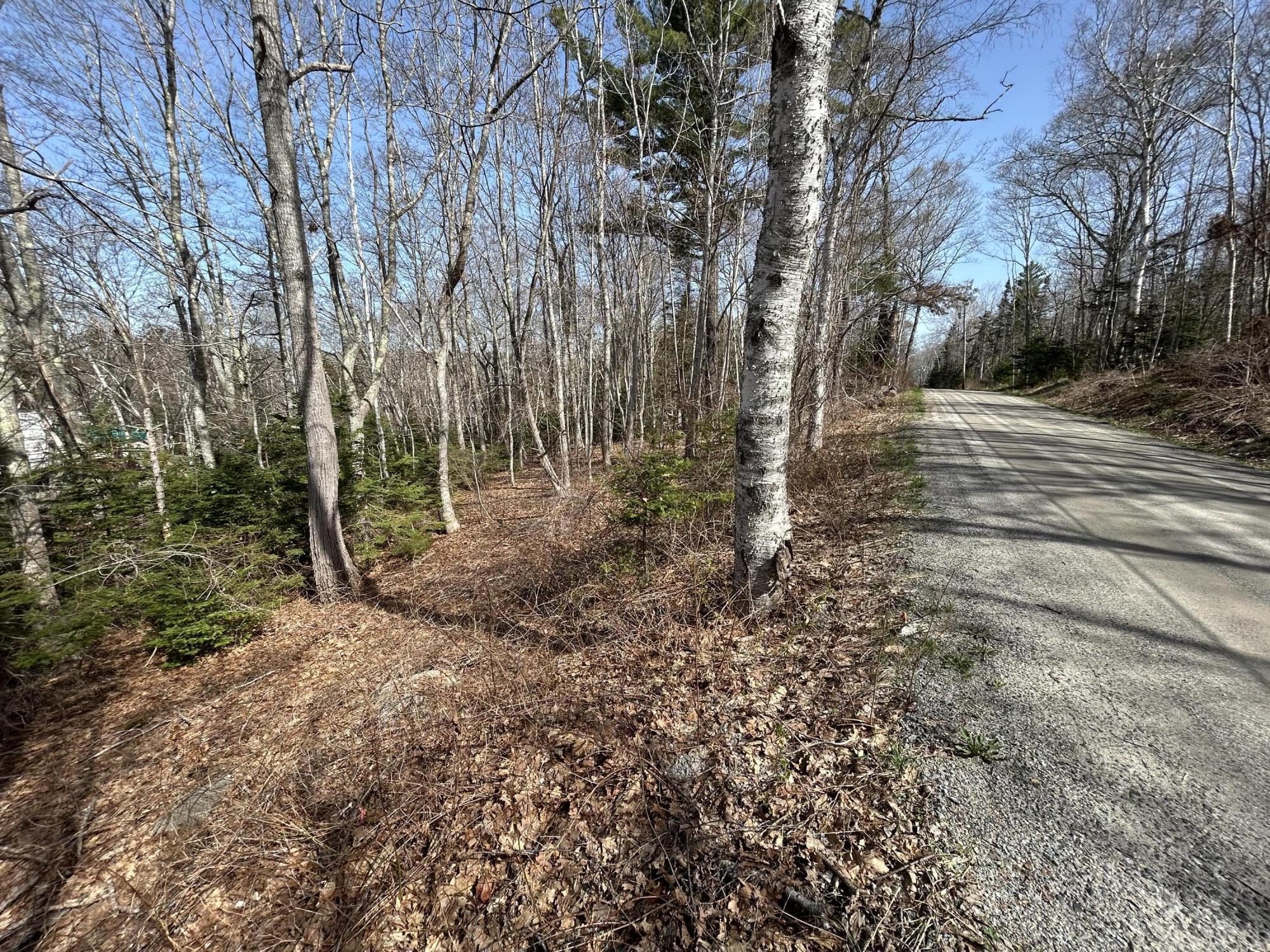 Lot 63 M14 John Gay Road Property Photo 4