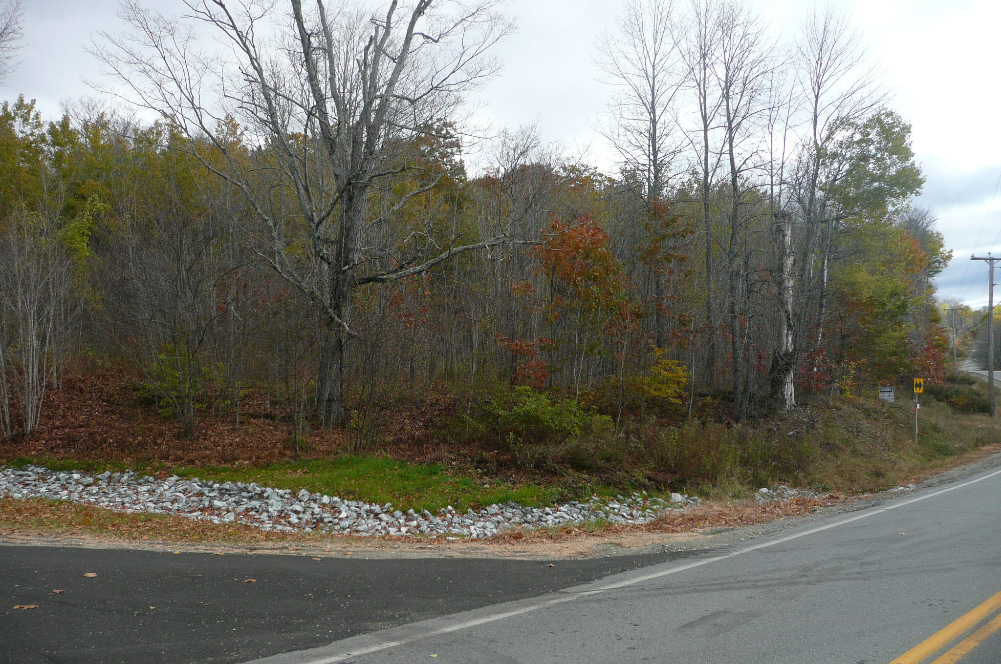 Lots B&c Hanslip Road Property Photo 2