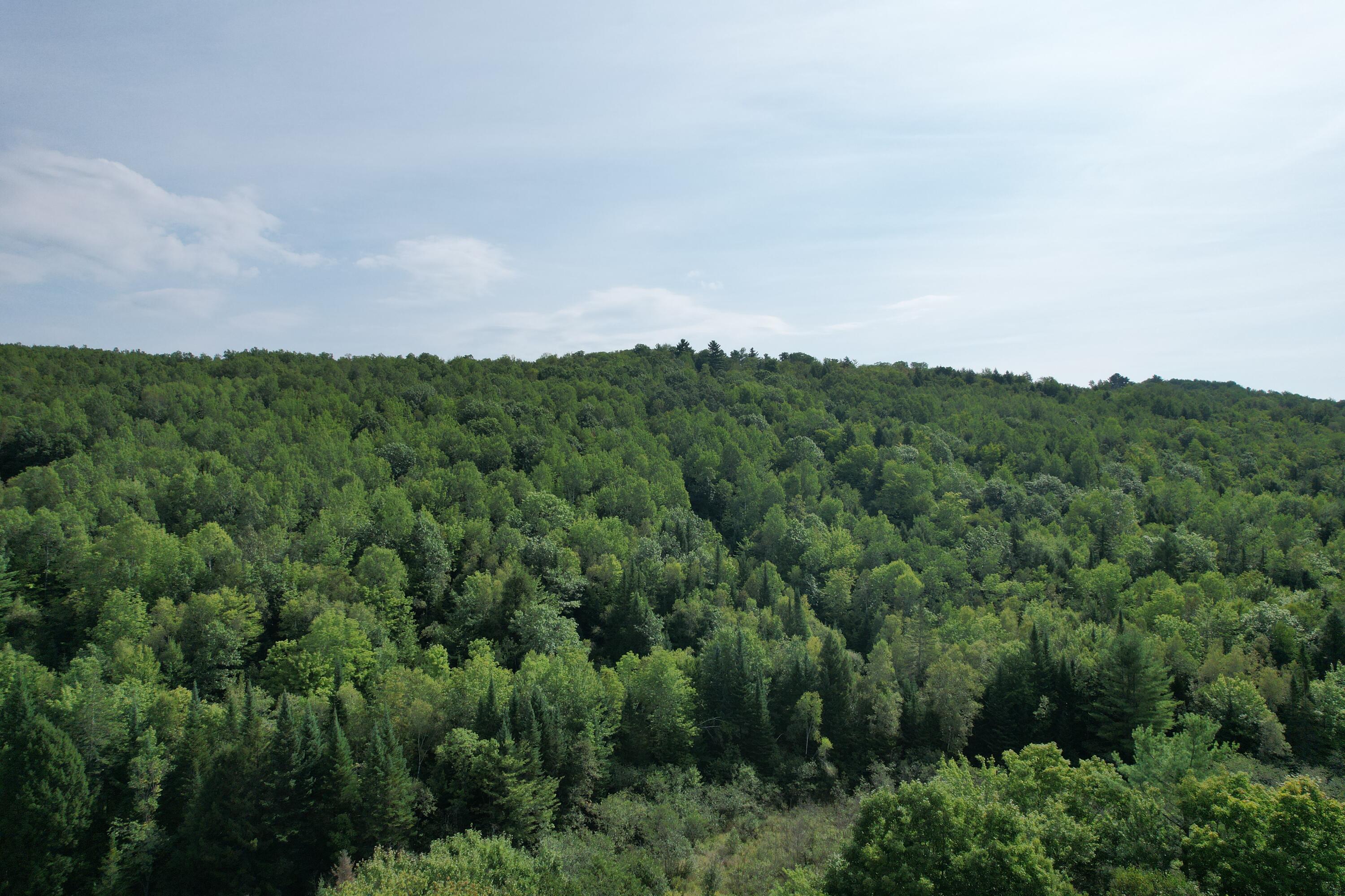Lots B&c Hanslip Road Property Photo 6