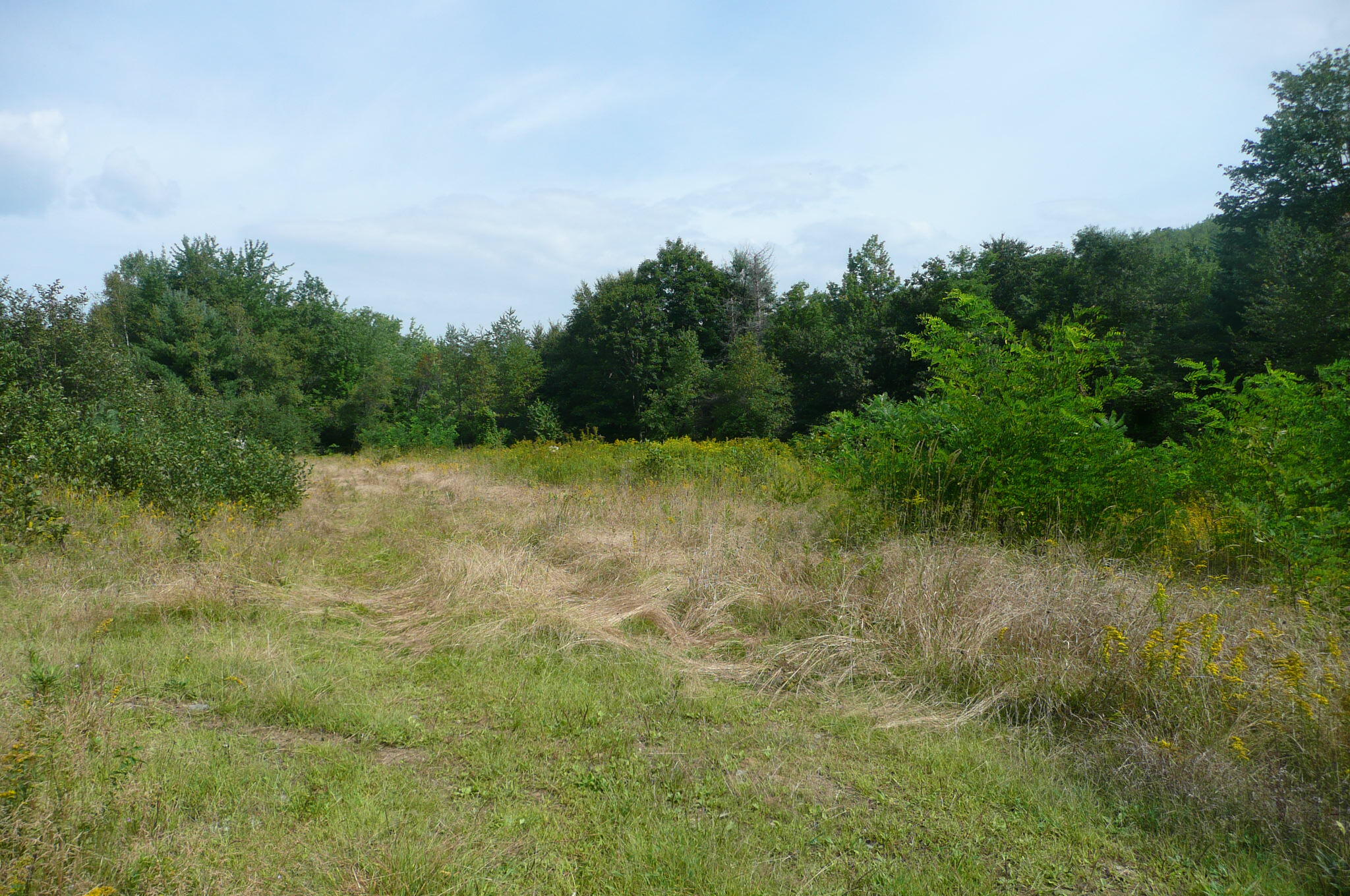 Lots B&c Hanslip Road Property Photo 8