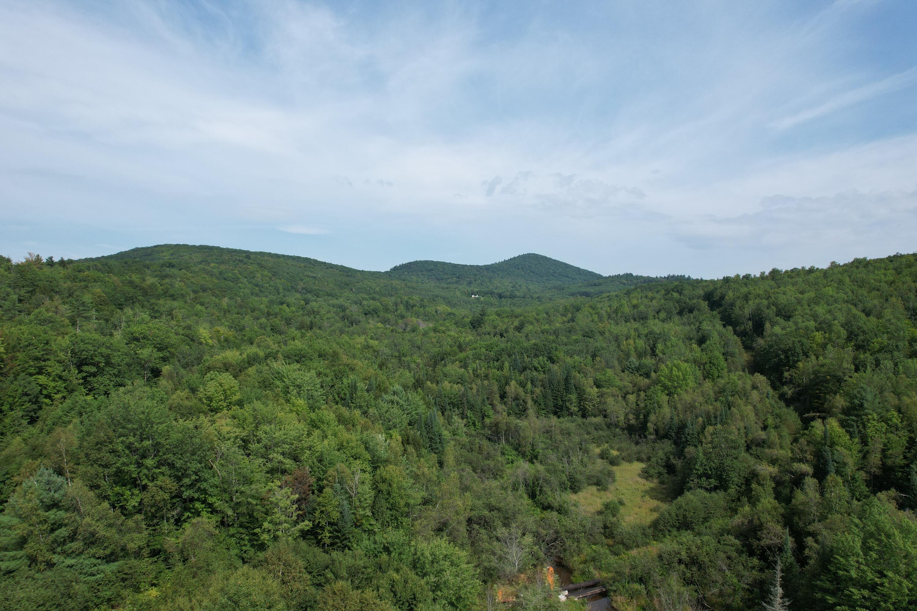Lots B&c Hanslip Road Property Photo 10