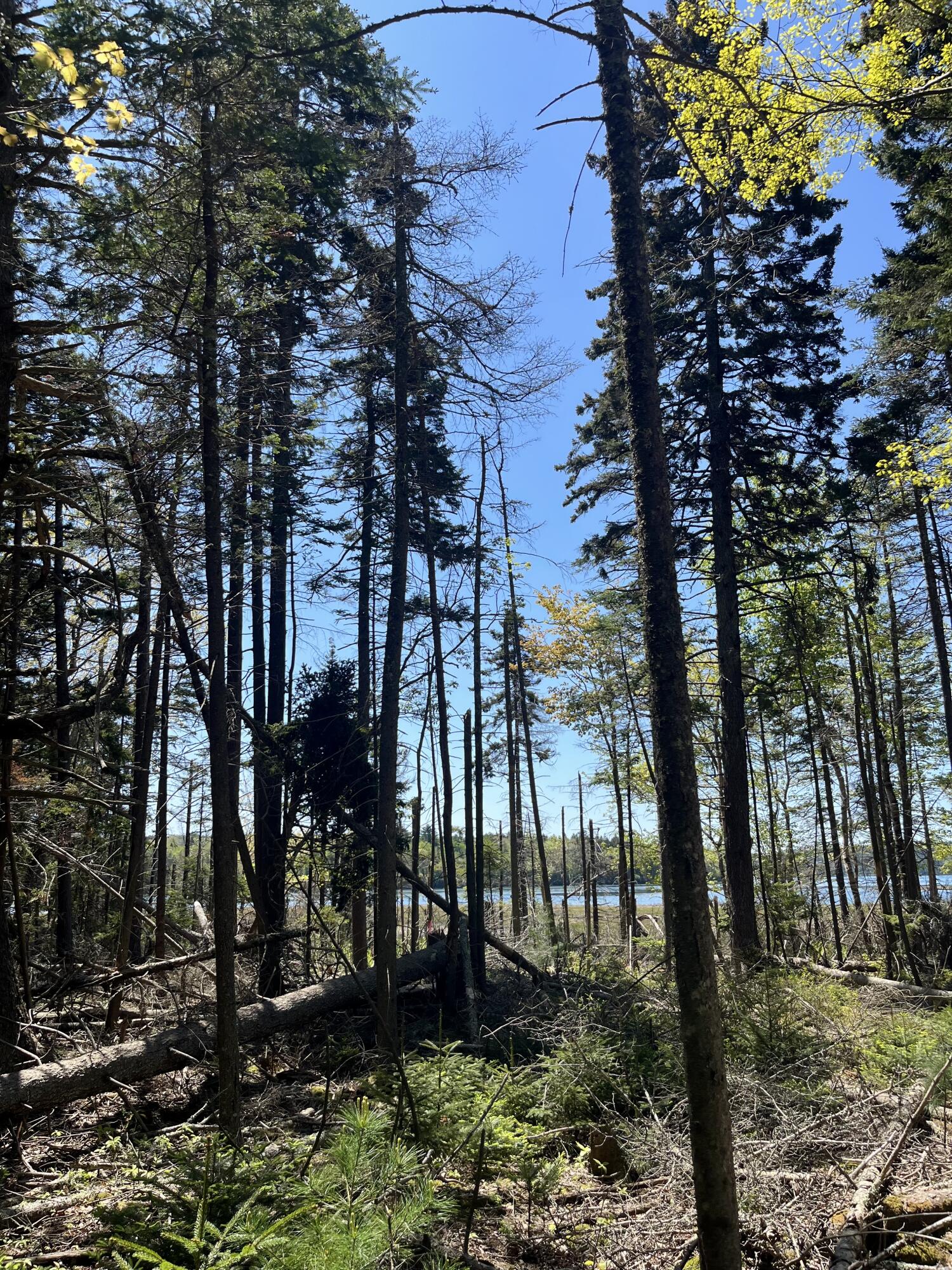 1572 State Highway 102 Property Photo 1