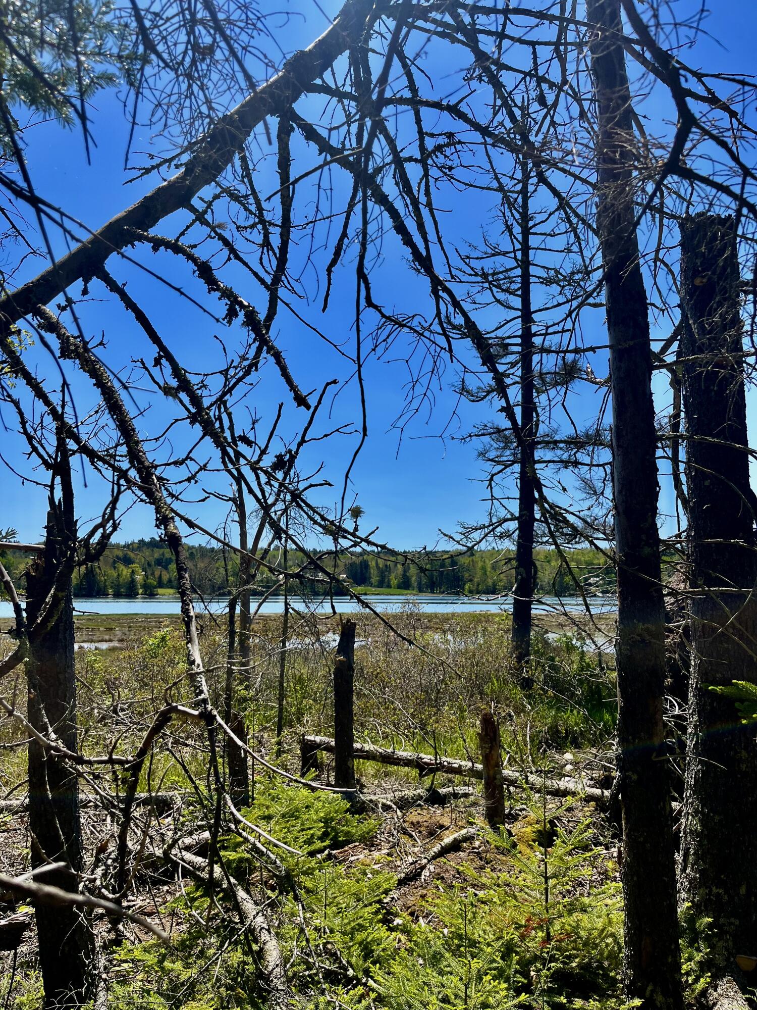 1572 State Highway 102 Property Photo 2