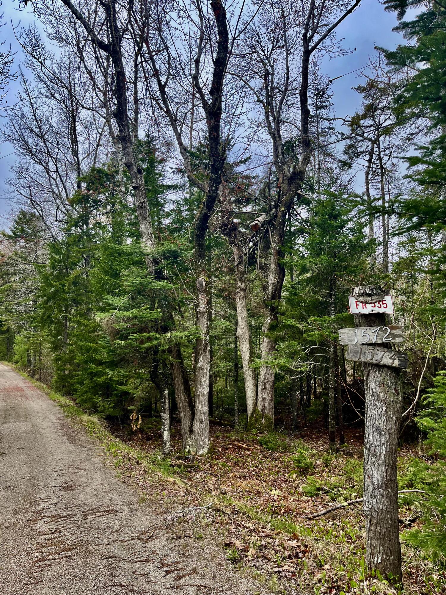 1572 State Highway 102 Property Photo 4