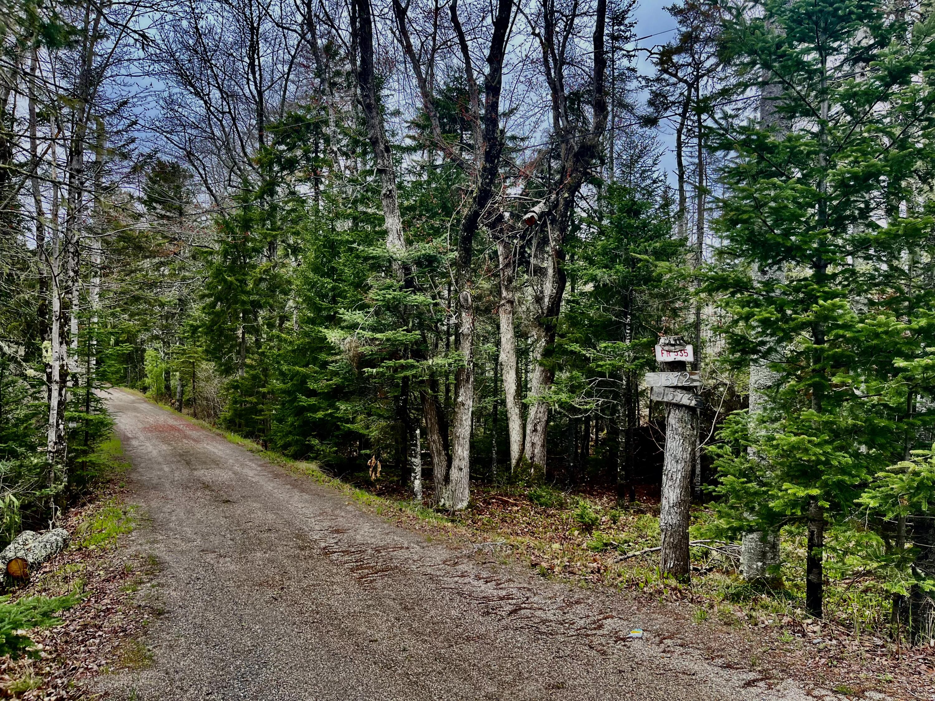 1572 State Highway 102 Property Photo 5