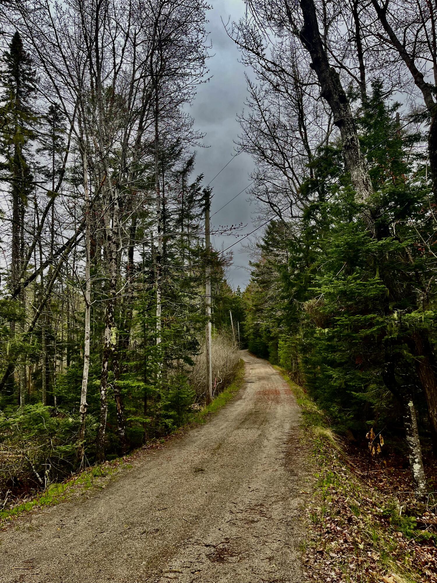 1572 State Highway 102 Property Photo 6