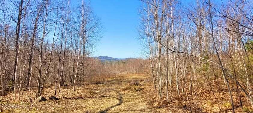 Lot 1 Wyatts Way Property Photo 1
