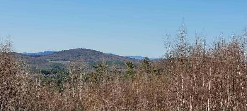 Lot 1 Wyatts Way Property Photo 2