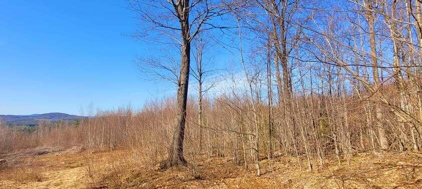 Lot 1 Wyatts Way Property Photo 4